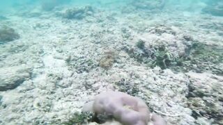 Nusa Lembongan и Nusa Ceningan, мангровый лес плантации водорослей и тихие бухты Бали