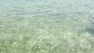 Nusa Lembongan и Nusa Ceningan, мангровый лес плантации водорослей и тихие бухты Бали