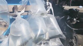 Nusa Lembongan и Nusa Ceningan, мангровый лес плантации водорослей и тихие бухты Бали