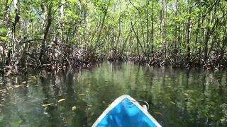 Nusa Lembongan и Nusa Ceningan, мангровый лес плантации водорослей и тихие бухты Бали