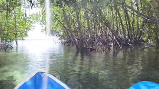 Nusa Lembongan и Nusa Ceningan, мангровый лес плантации водорослей и тихие бухты Бали