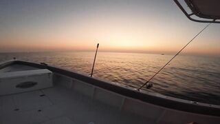 Морская рыбалка в Fujairah чартер SOOLYMAN день в Оманском заливе на мощном катере