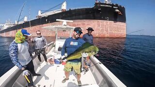 Морская рыбалка в Fujairah чартер SOOLYMAN день в Оманском заливе на мощном катере