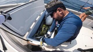 Морская рыбалка в Fujairah чартер SOOLYMAN день в Оманском заливе на мощном катере