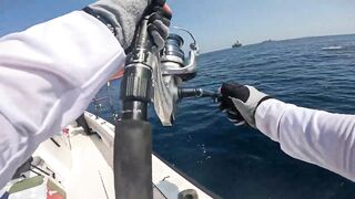 Морская рыбалка в Fujairah чартер SOOLYMAN день в Оманском заливе на мощном катере