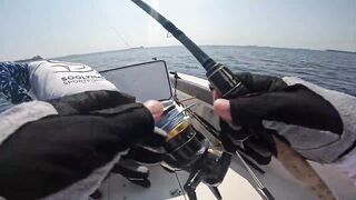 Морская рыбалка в Fujairah чартер SOOLYMAN день в Оманском заливе на мощном катере