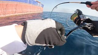 Морская рыбалка в Fujairah чартер SOOLYMAN день в Оманском заливе на мощном катере