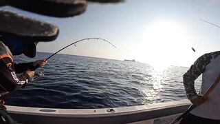 Морская рыбалка в Fujairah чартер SOOLYMAN день в Оманском заливе на мощном катере