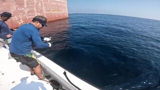 Морская рыбалка в Fujairah чартер SOOLYMAN день в Оманском заливе на мощном катере