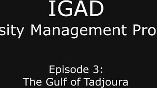 Gulf of Tadjoura: подводная жемчужина Джибути рифы дельфины и прозрачная вода