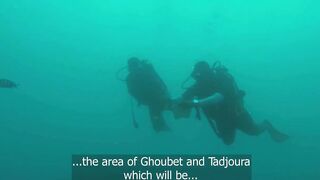 Gulf of Tadjoura: подводная жемчужина Джибути рифы дельфины и прозрачная вода