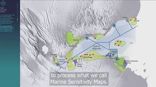 Gulf of Tadjoura: подводная жемчужина Джибути рифы дельфины и прозрачная вода