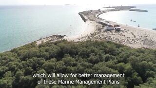 Gulf of Tadjoura: подводная жемчужина Джибути рифы дельфины и прозрачная вода