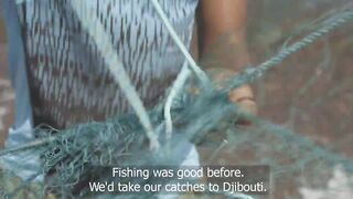 Gulf of Tadjoura: подводная жемчужина Джибути рифы дельфины и прозрачная вода