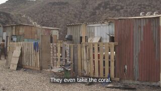 Gulf of Tadjoura: подводная жемчужина Джибути рифы дельфины и прозрачная вода