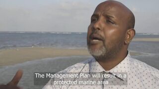 Gulf of Tadjoura: подводная жемчужина Джибути рифы дельфины и прозрачная вода