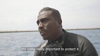 Gulf of Tadjoura: подводная жемчужина Джибути рифы дельфины и прозрачная вода