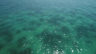 Gulf of Tadjoura: подводная жемчужина Джибути рифы дельфины и прозрачная вода