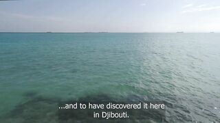 Gulf of Tadjoura: подводная жемчужина Джибути рифы дельфины и прозрачная вода