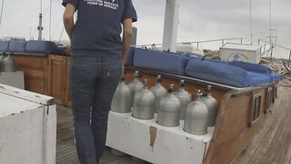 Gulf of Tadjoura: подводная жемчужина Джибути рифы дельфины и прозрачная вода