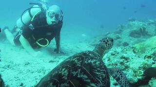 Gulf of Tadjoura: подводная жемчужина Джибути рифы дельфины и прозрачная вода