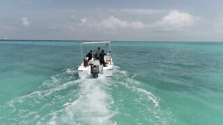 Gulf of Tadjoura: подводная жемчужина Джибути рифы дельфины и прозрачная вода