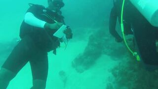 Gulf of Tadjoura: подводная жемчужина Джибути рифы дельфины и прозрачная вода