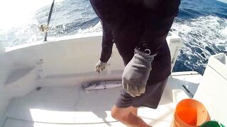 Морская рыбалка на Varadero Куба deep sea выход в океан и борьба с крупной рыбой