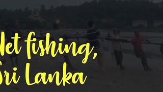 Net fishing Sri Lanka Galle Unawatuna сетями тянут рыбу на берег и делят улов