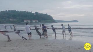 Net fishing Sri Lanka Galle Unawatuna сетями тянут рыбу на берег и делят улов