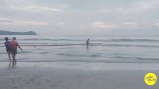 Net fishing Sri Lanka Galle Unawatuna сетями тянут рыбу на берег и делят улов