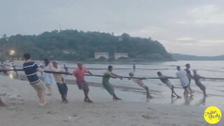 Net fishing Sri Lanka Galle Unawatuna сетями тянут рыбу на берег и делят улов