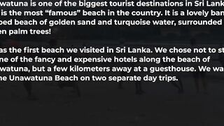 Net fishing Sri Lanka Galle Unawatuna сетями тянут рыбу на берег и делят улов