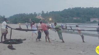 Net fishing Sri Lanka Galle Unawatuna сетями тянут рыбу на берег и делят улов