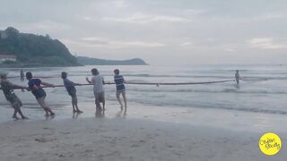 Net fishing Sri Lanka Galle Unawatuna сетями тянут рыбу на берег и делят улов