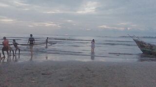 Net fishing Sri Lanka Galle Unawatuna сетями тянут рыбу на берег и делят улов