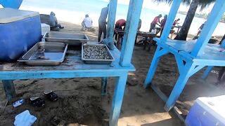 Новое место Las Terrenas пробую ловить но в итоге покупаю рыбу у местных рыбаков