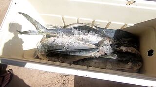 Новое место Las Terrenas пробую ловить но в итоге покупаю рыбу у местных рыбаков