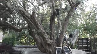 Комфортная жизнь на Кипре Алсанджак, почему этот район считают лучшим на Северном Кипре