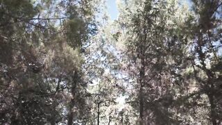 Комфортная жизнь на Кипре Алсанджак, почему этот район считают лучшим на Северном Кипре