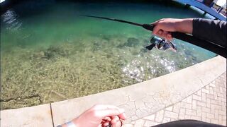 Морская рыбалка в Кубе Varadero день на лодке и поиск трофеев у рифов Карибского моря