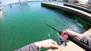 Морская рыбалка в Кубе Varadero день на лодке и поиск трофеев у рифов Карибского моря