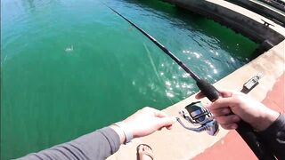 Морская рыбалка в Кубе Varadero день на лодке и поиск трофеев у рифов Карибского моря