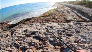 Морская рыбалка в Кубе Varadero день на лодке и поиск трофеев у рифов Карибского моря