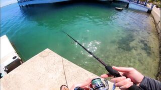 Морская рыбалка в Кубе Varadero день на лодке и поиск трофеев у рифов Карибского моря