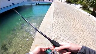 Морская рыбалка в Кубе Varadero день на лодке и поиск трофеев у рифов Карибского моря