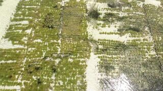 Занзибар - рай не для пугливых истории гоп стопа в Nungwi Kendwa Paje Jambiani и Stone Town