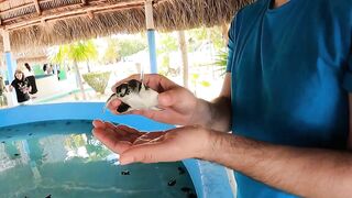 Cayo Largo del Sur: нетронутый рай Кубы и тихие пляжи вдали от шумных отелей