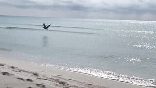 Cayo Largo del Sur: нетронутый рай Кубы и тихие пляжи вдали от шумных отелей