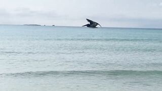 Cayo Largo del Sur: нетронутый рай Кубы и тихие пляжи вдали от шумных отелей